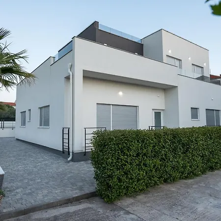 Luxury Golden Dreams